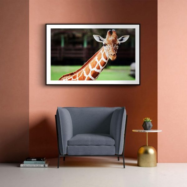 Cute Giraffe For Discount