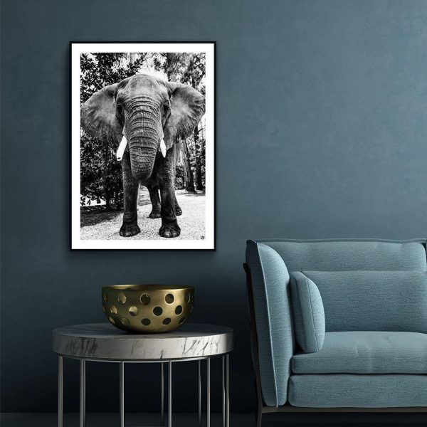 Afrikaanse Olifant Hot on Sale