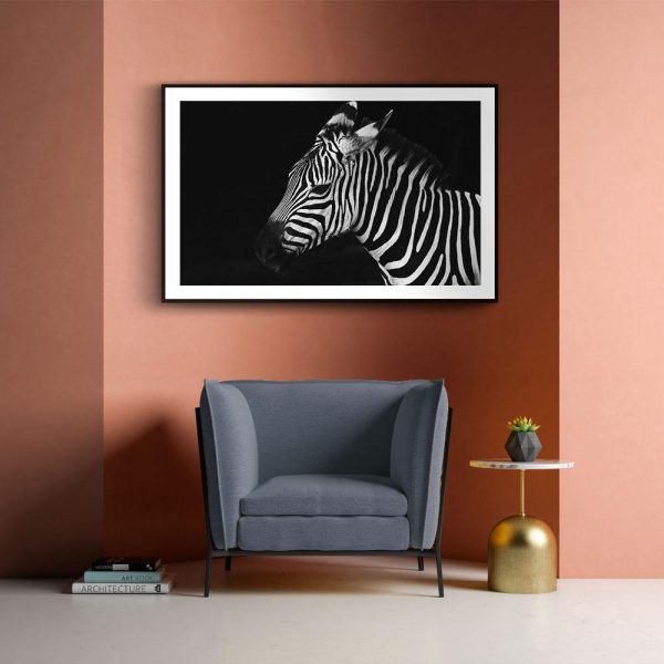 Zebra Sale