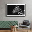 Zebra Sale