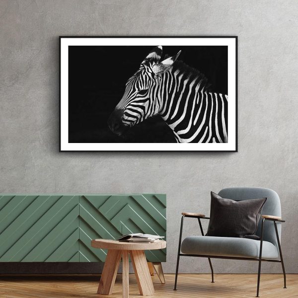 Zebra Sale