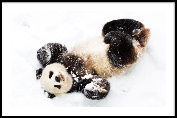 Sneeuw Panda Online