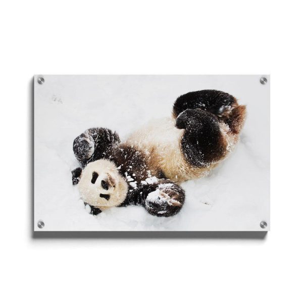 Sneeuw Panda Online