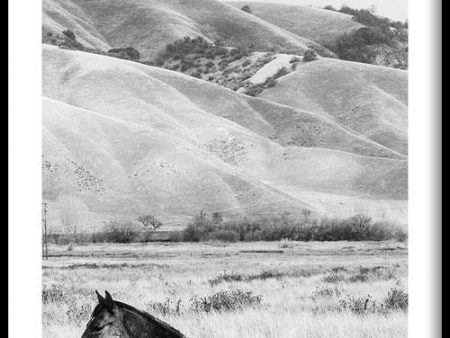 Horse Next To Mountain Discount