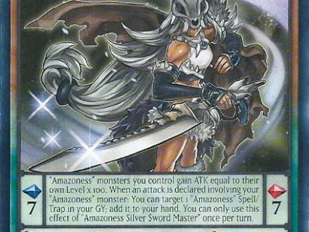 Amazoness Silver Sword Master [DABL-EN094] Common Online now