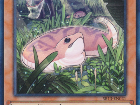 Danger!? Tsuchinoko? [SR13-EN021] Common For Discount